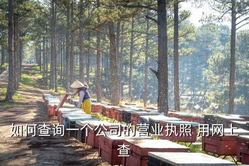 查營業(yè)執(zhí)照，如何查詢一個(gè)公司的營業(yè)執(zhí)照 用網(wǎng)上查