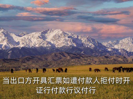 付款行，當(dāng)出口方開具匯票如遭付款人拒付時(shí)開證行付款行議付行