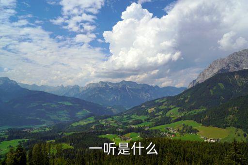一聽是什么