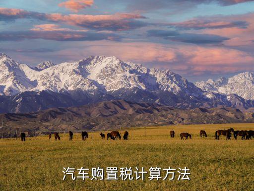 購(gòu)車(chē)稅費(fèi)怎樣計(jì)算，車(chē)輛購(gòu)置稅怎么算