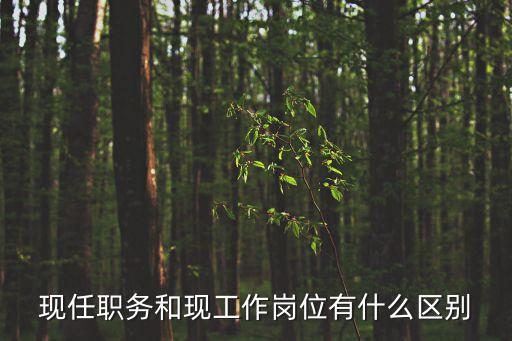 現(xiàn)任職務(wù)和現(xiàn)工作崗位有什么區(qū)別
