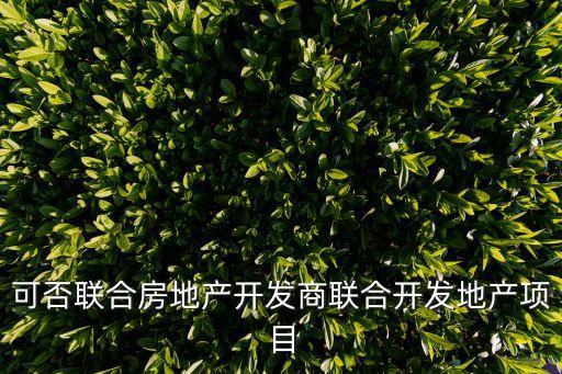 共同開發(fā)，甲乙兩人想共同開發(fā)一項(xiàng)工程