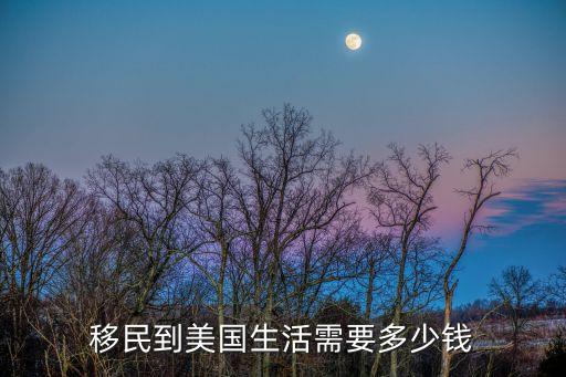 移民到美國(guó)生活需要多少錢