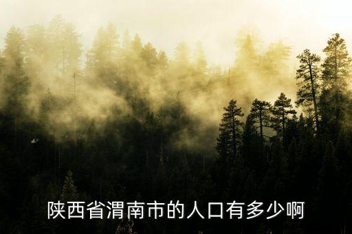陜西省渭南市的人口有多少啊