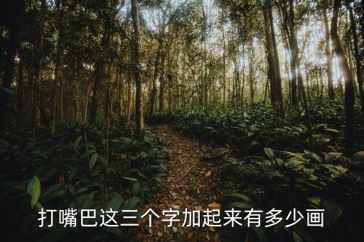 打嘴巴這三個字加起來有多少畫