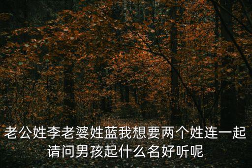 老公姓李老婆姓藍(lán)我想要兩個(gè)姓連一起請(qǐng)問(wèn)男孩起什么名好聽(tīng)呢
