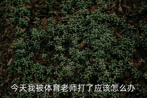 被體育老師，今天我被體育老師打了應(yīng)該怎么辦