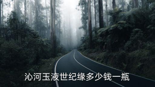 沁河玉液世紀緣多少錢一瓶