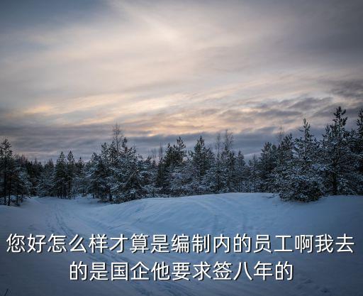 您好怎么樣才算是編制內的員工啊我去的是國企他要求簽八年的