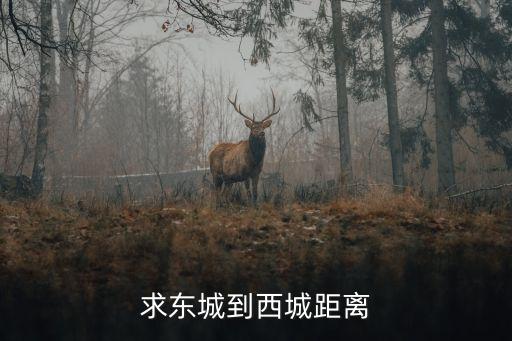 東西城，煙臺龍口東西城怎么分得