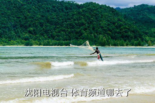 遼寧體育頻道，遼寧體育頻道好看嗎