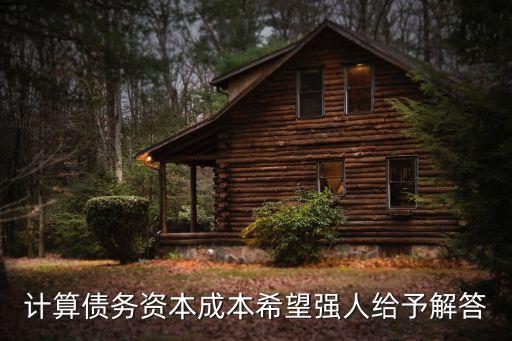 計算債務(wù)資本成本希望強(qiáng)人給予解答