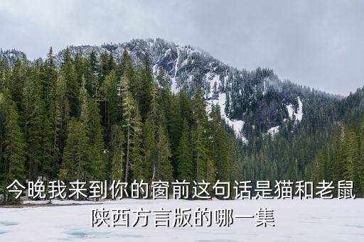 今晚到我，今晚我來(lái)到你的窗前這句話是貓和老鼠陜西方言版的哪一集