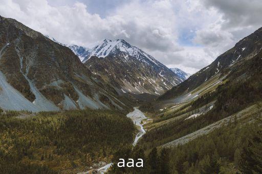 aaa