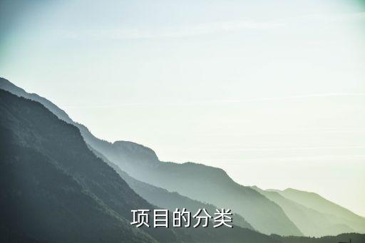 項(xiàng)目類型，創(chuàng)業(yè)項(xiàng)目有哪些種類及我們?nèi)绾芜x擇