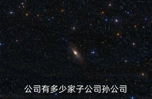 公司有多少家子公司孫公司