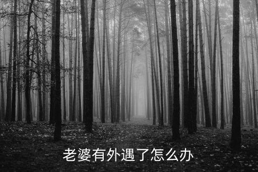 老婆有外遇了怎么辦