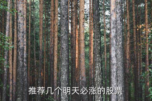 推薦幾個(gè)明天必漲的股票
