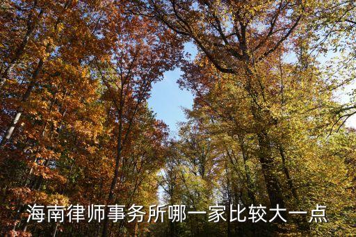 海南律師事務(wù)所哪一家比較大一點(diǎn)