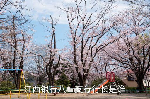 江西銀行八一支行行長是誰