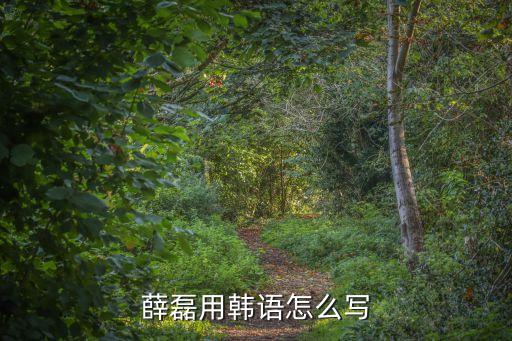 薛磊用韓語怎么寫
