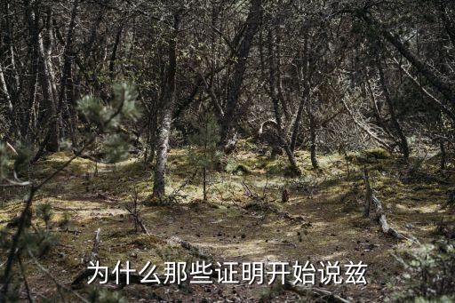 為什么那些證明開(kāi)始說(shuō)茲