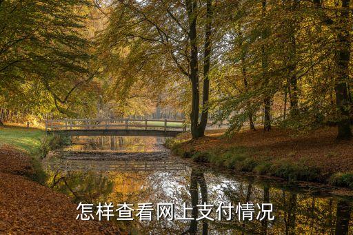 支付結(jié)果，怎樣查看網(wǎng)上支付情況
