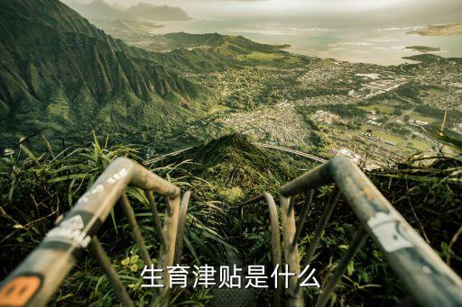 生育補(bǔ)助，生育津貼是什么