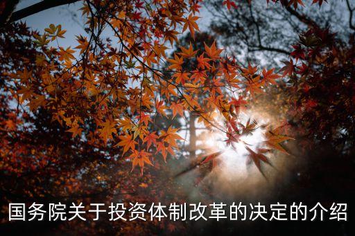 政府投資條例，政府投資的主要標(biāo)準(zhǔn)