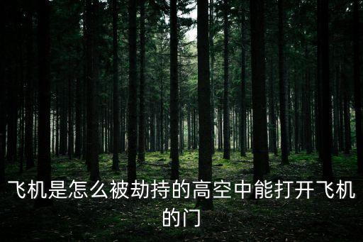 飛機被劫，飛機是怎么被劫持的高空中能打開飛機的門
