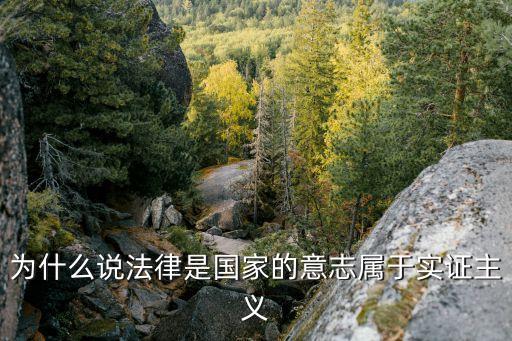 法律實證主義，法律實證主義是什么東東