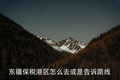 天津東疆保稅港區(qū)，天津市大港東疆港位置