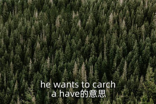 he wants to carch a have的意思