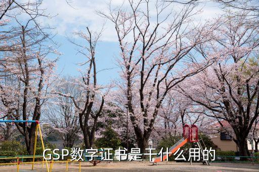GSP數(shù)字證書是干什么用的