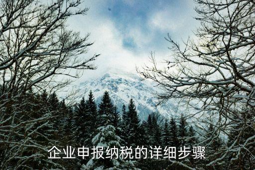 企業(yè)納稅申報(bào)，企業(yè)申報(bào)納稅的詳細(xì)步驟