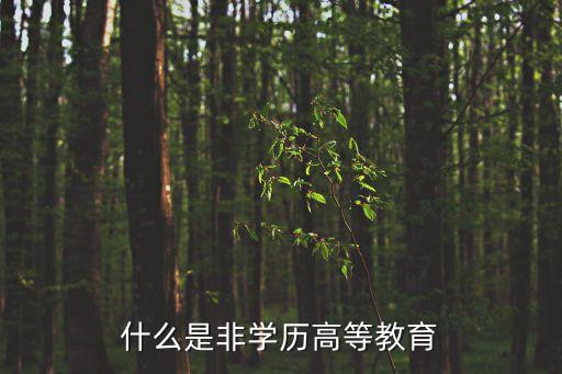 非學(xué)歷教育，什么是非學(xué)歷高等教育