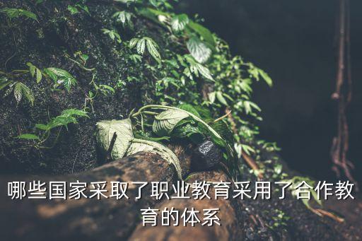 職業(yè)教育政策，國家對職業(yè)教育在校生的優(yōu)惠政策有哪些