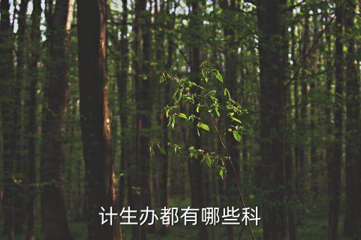 計劃生育科，計生辦都有哪些科