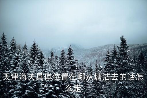 天津關，天津海關具體位置在哪從塘沽去的話怎么走