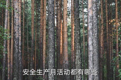 安全生產(chǎn)月活動(dòng)都有哪些