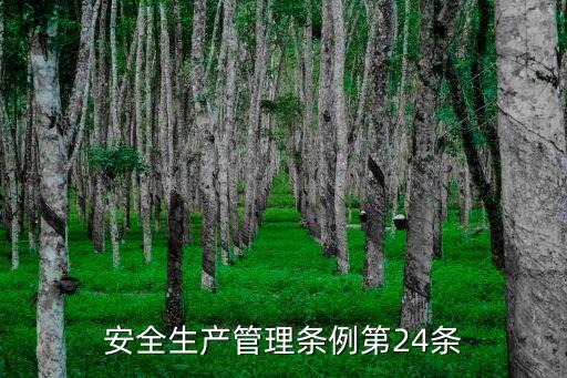 山西省安全生產(chǎn)條例，安全生產(chǎn)管理?xiàng)l例第24條