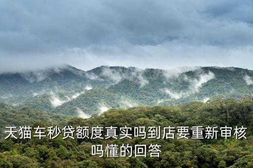 天貓車(chē)秒貸額度真實(shí)嗎到店要重新審核嗎懂的回答