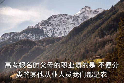 其他從業(yè)人員，其他從業(yè)人員指什么