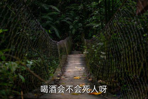 喝酒會喝死人嗎，喝酒會不會死人呀