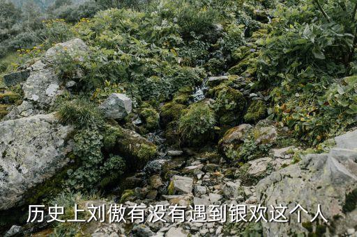 劉傲，今年奧運(yùn)會(huì)有l(wèi)劉傲嗎
