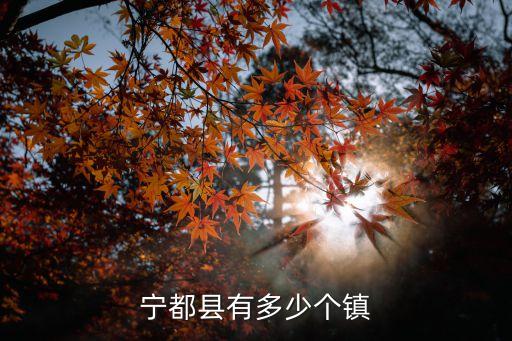 寧都青塘，請(qǐng)問從贛州火車站在哪里坐大巴能到寧都縣的青塘鎮(zhèn)