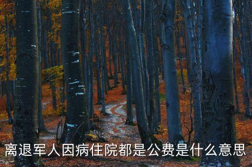 公費(fèi)醫(yī)療什么意思，個(gè)人就醫(yī)公費(fèi)診療是什么意思