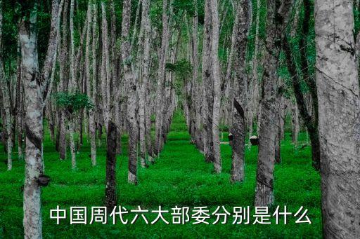 中國(guó)周代六大部委分別是什么