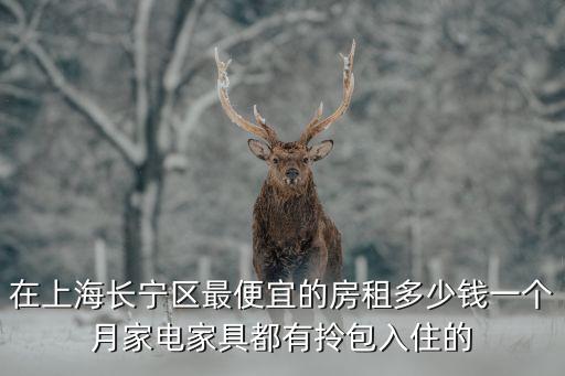 長(zhǎng)寧區(qū)租房，在上海長(zhǎng)寧區(qū)最便宜的房租多少錢一個(gè)月家電家具都有拎包入住的