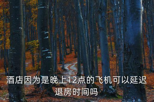 延時(shí)退房，可以延遲到兩點(diǎn)退房嗎